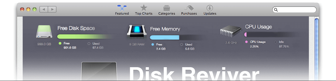 download and install Disk Reviver