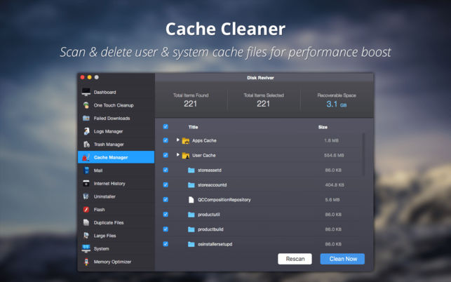 disk reviver cache cleaner