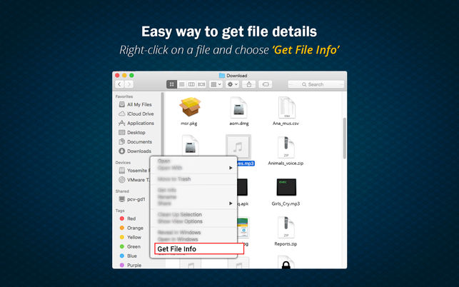 download the last version for mac Find Any File FAF