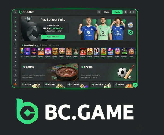 How to Navigate the BC.Game Registration Process A Complete Guide