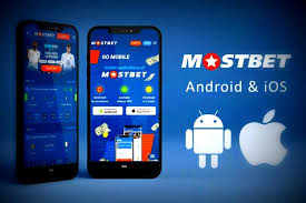 Mostbet Mobile Application